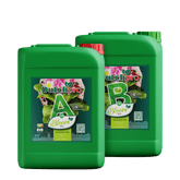DutchPro Erde/Soil - Boden Bloom A+B je 10 Liter (HW) - GrowXL GmbH